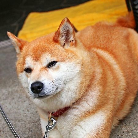 Hounkan Yoshino  Eksteriør billede